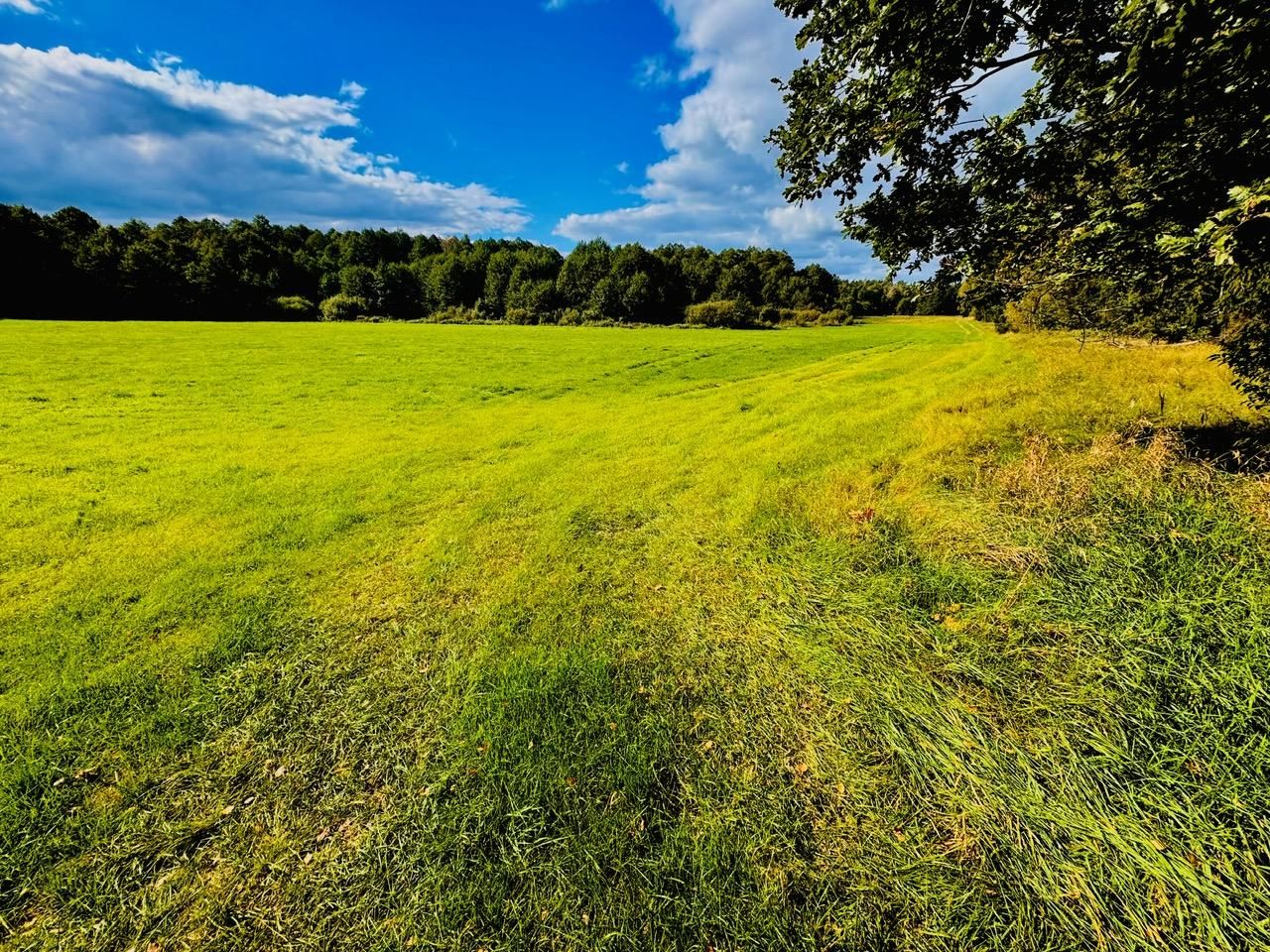 Działka rolna Nitki. Zdjęcie 12
