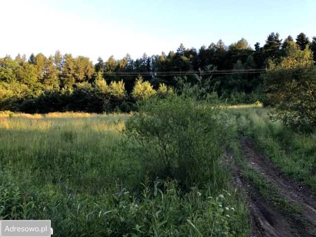 Działka rolna Koniusza. Zdjęcie 1