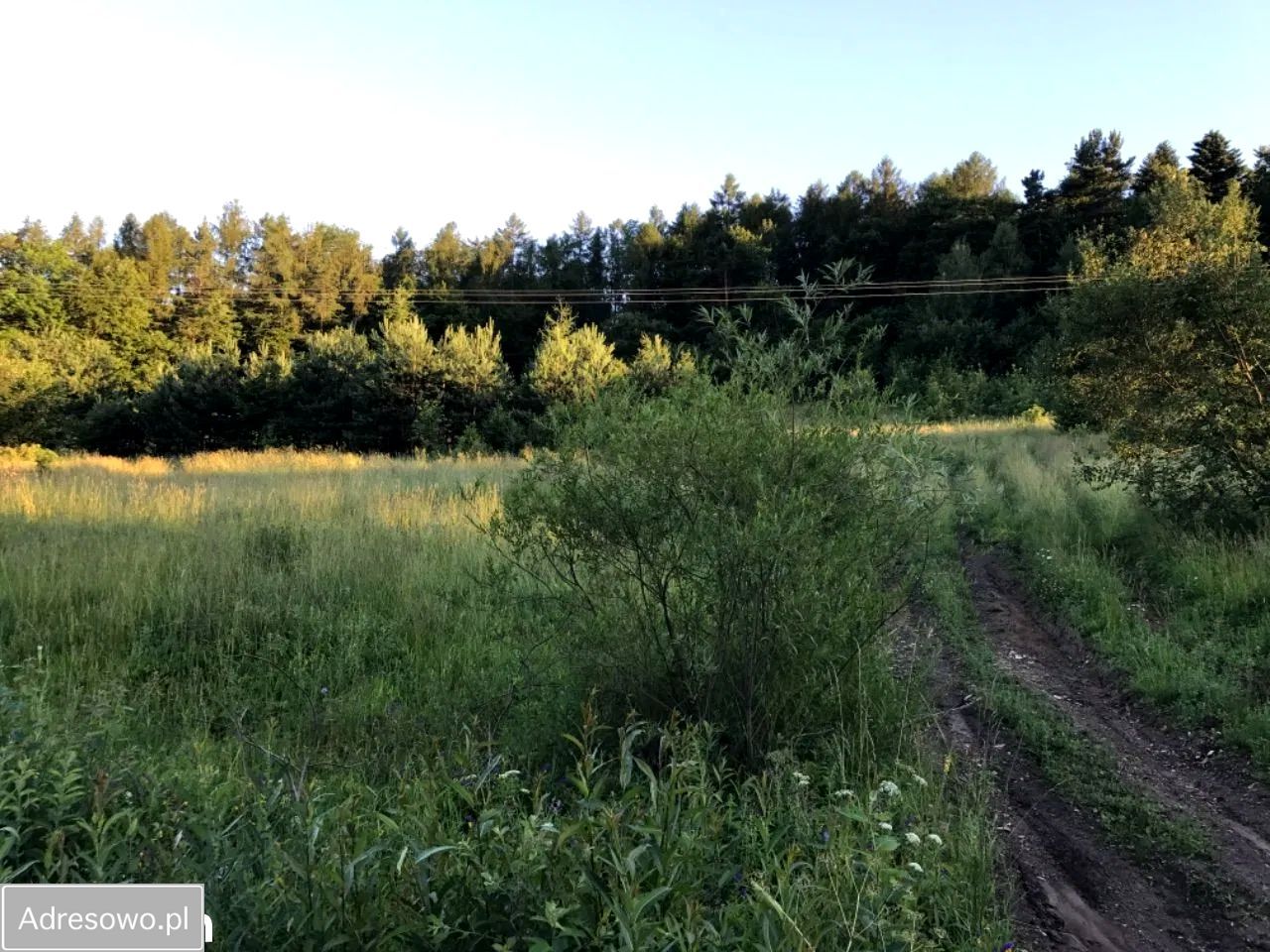 Działka rolna Koniusza. Zdjęcie 1