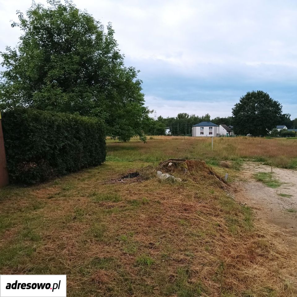 dom wolnostojący, 8 pokoi Godów, ul. Powstańców Śląskich. Zdjęcie 18