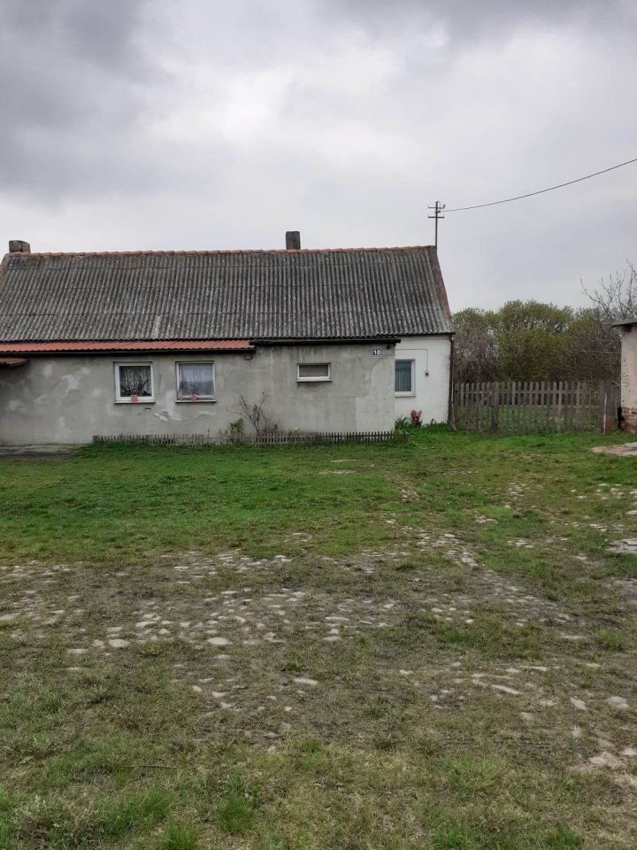 gospodarstwo, 4 pokoje Wilczyniec