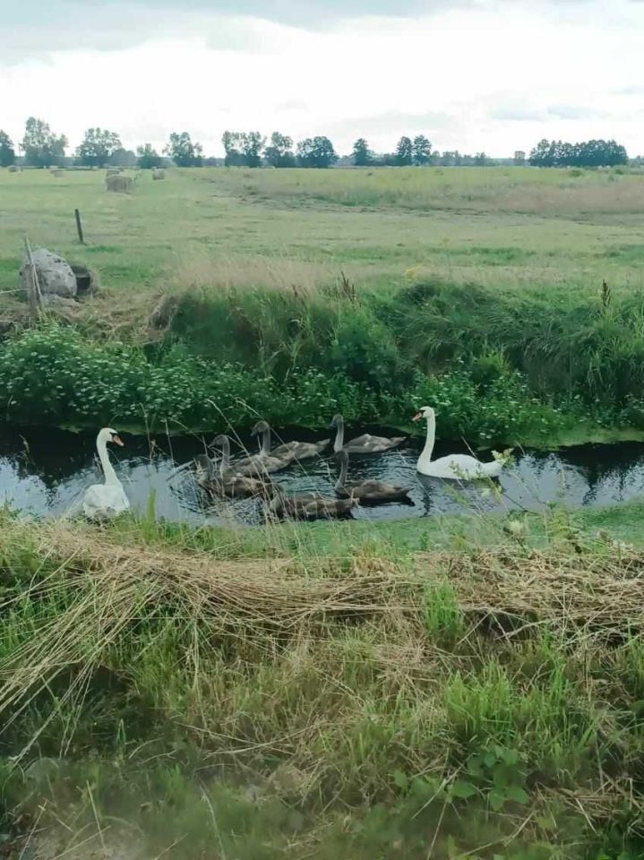 Działka budowlana Prądocin. Zdjęcie 2