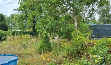 Działka rod Szczecin Pogodno, ul. Mieczysława Karłowicza