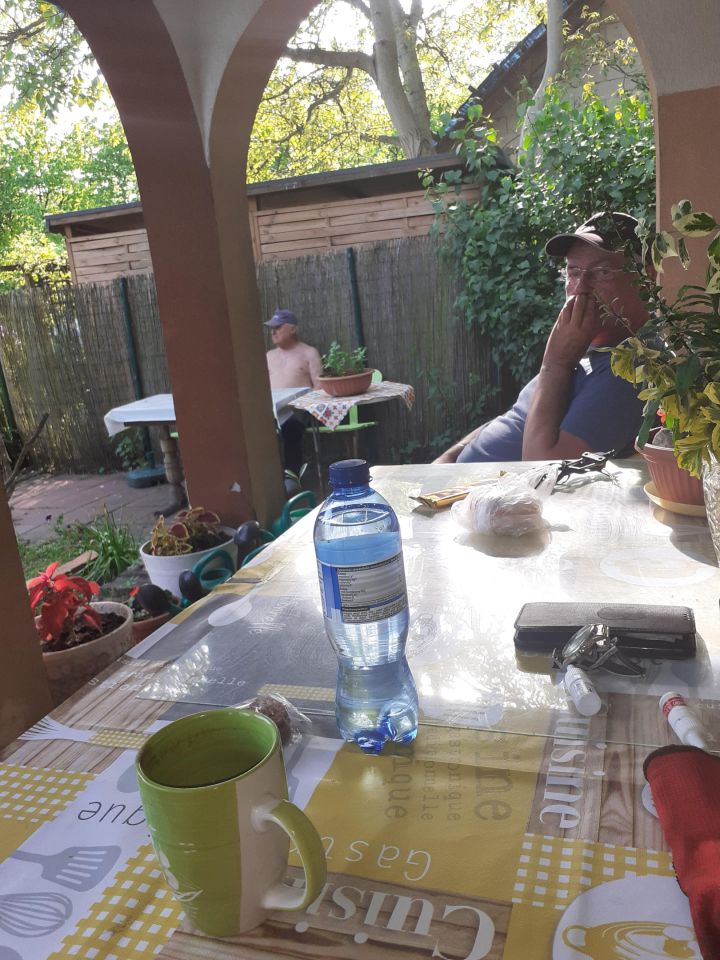 Działka rod Zielona Góra, ul. Osiedle Pomorskie. Zdjęcie 19