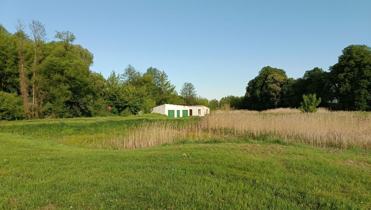 Działka rolno-budowlana Solistówka. Zdjęcie 6