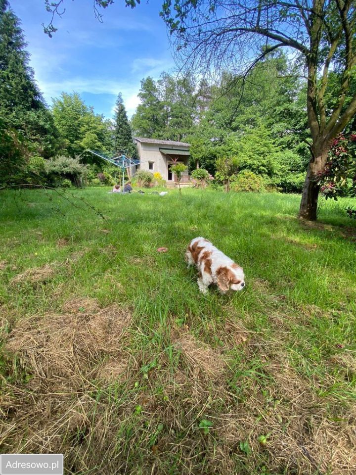 Działka inna Czechowice-Dziedzice. Zdjęcie 14