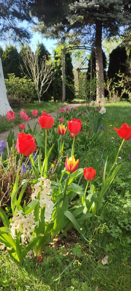 Działka rod Kędzierzyn-Koźle Pogorzelec. Zdjęcie 3