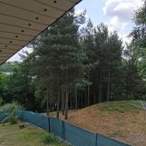 Działka rekreacyjna Bogołomia. Zdjęcie 2