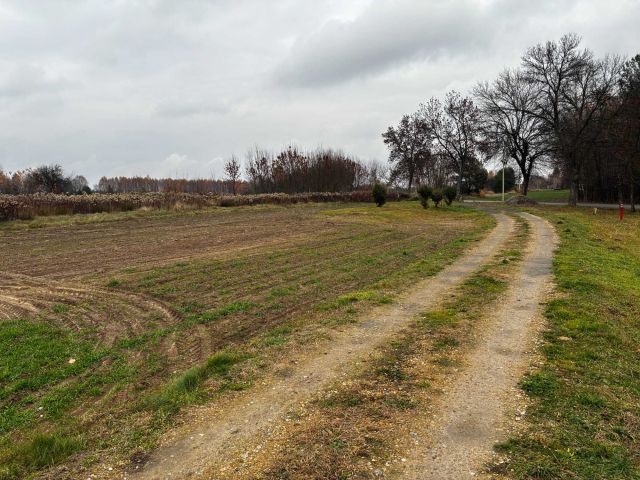 Działka budowlana Rakszawa Nowe Pola. Zdjęcie 1