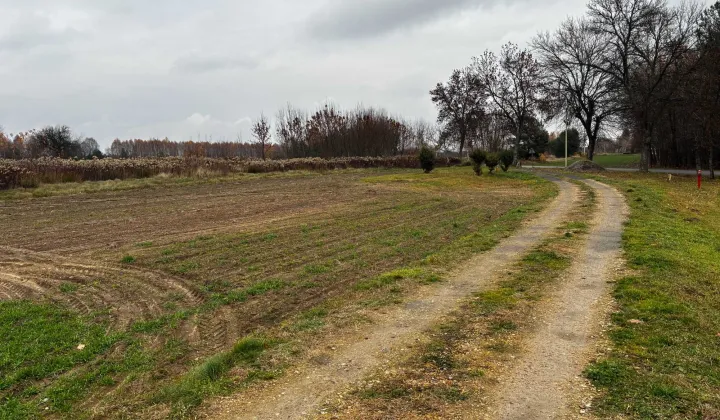 Działka budowlana Rakszawa Nowe Pola