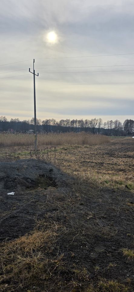 Działka rolno-budowlana Bojadła, ul. Słowikowa. Zdjęcie 4