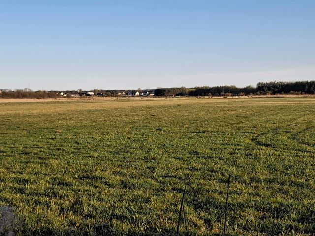 Działka rolna Secemin. Zdjęcie 1