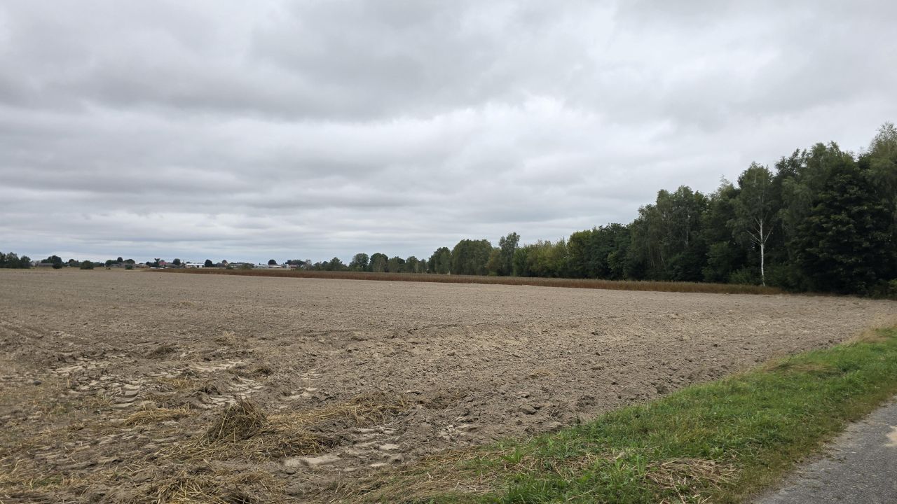 Działka rolno-budowlana Czemierniki, ul. Południowa Kolonia. Zdjęcie 3