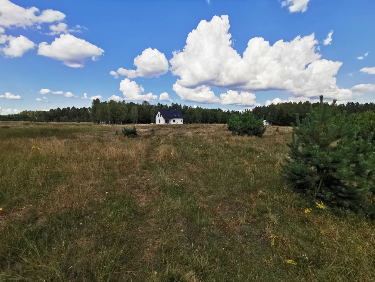 Działka budowlana Strękowizna