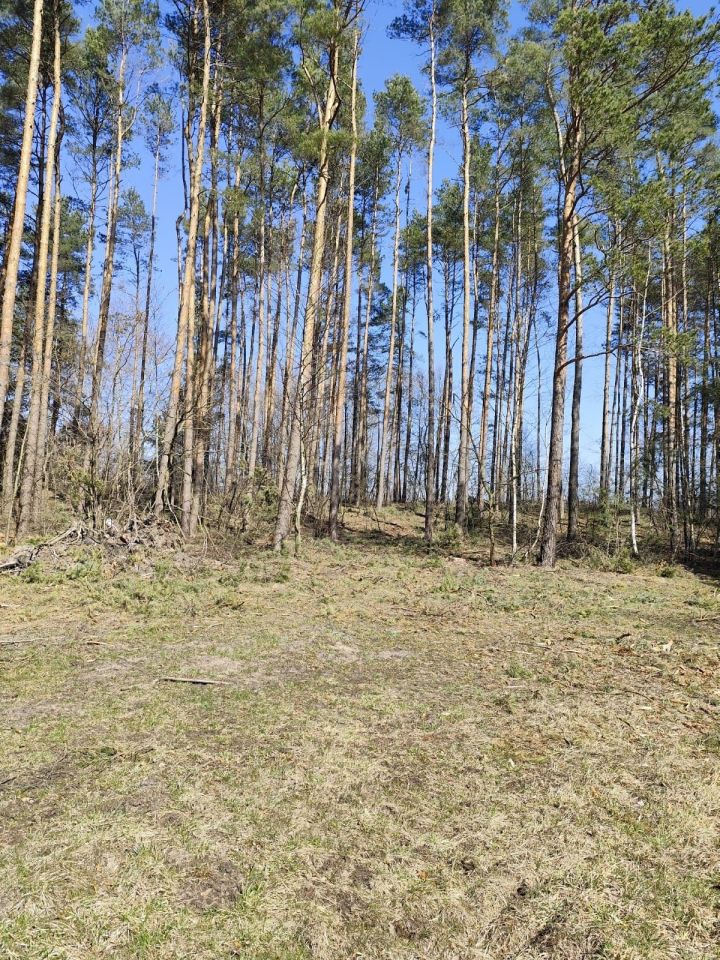 Działka rolna Reduchów-Kolonia. Zdjęcie 4