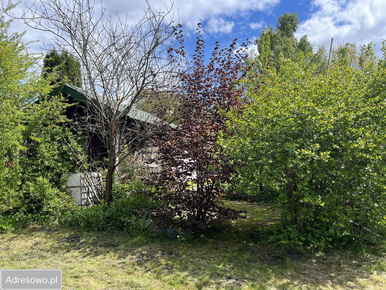 Działka rod Augustów, ul. Śliwkowa. Zdjęcie 4