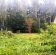 Działka budowlana Budy-Grzybek, ul. Alpejska. Zdjęcie 4