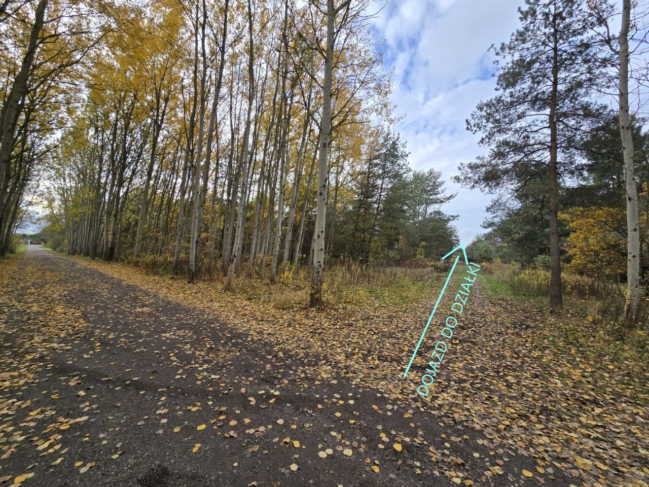 Działka budowlana Czarny Las. Zdjęcie 6