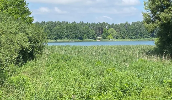 Działka rekreacyjna Miłachówek