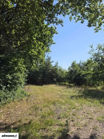 Działka budowlana Płocin. Zdjęcie 1