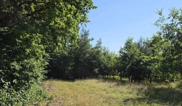 Działka budowlana Płocin