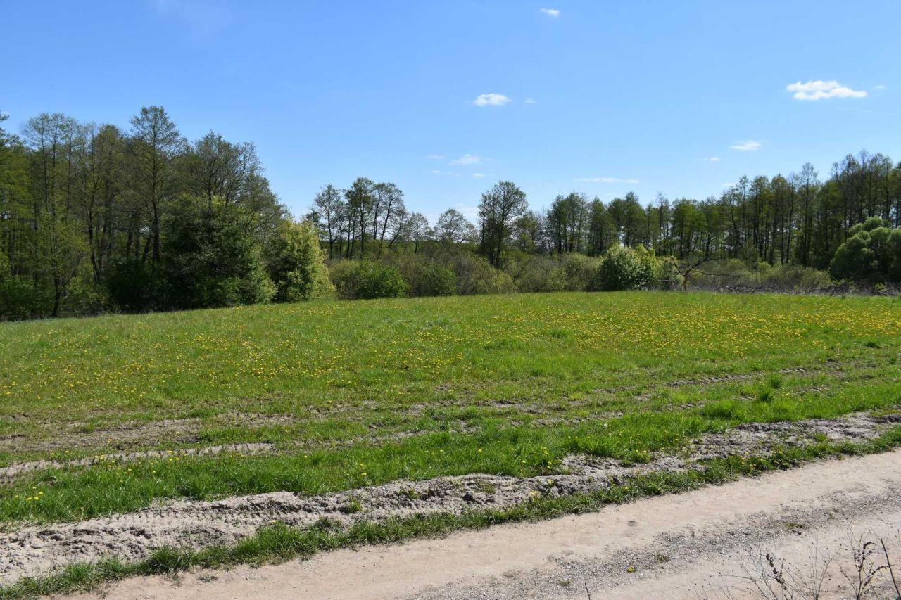 Działka rekreacyjna Świętajno. Zdjęcie 2