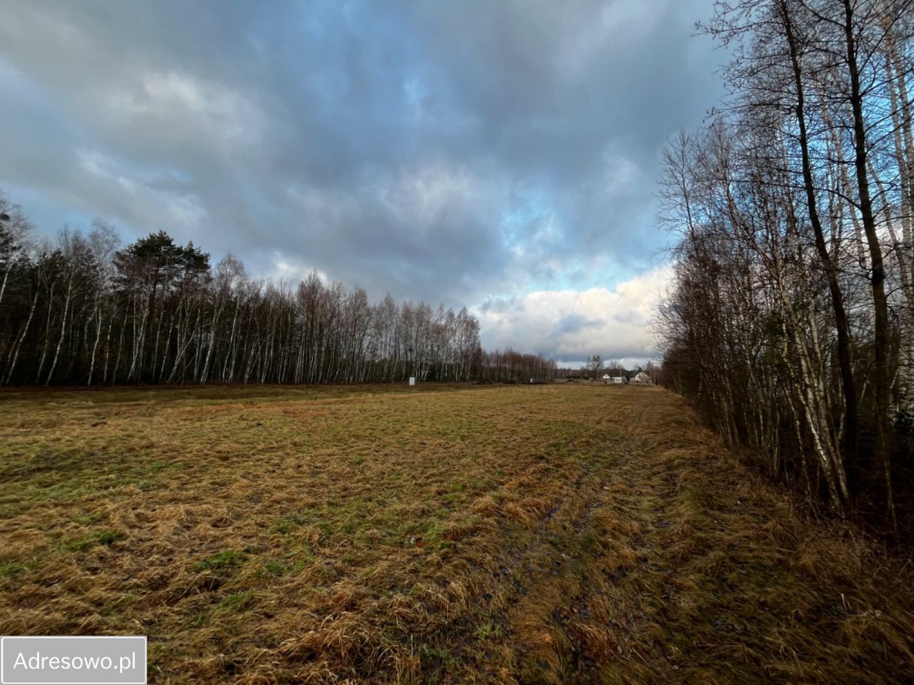 Działka budowlana Lipiny. Zdjęcie 6