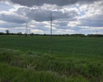 Działka rolna Zielona Góra Zawada. Zdjęcie 2