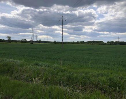 Działka rolna Zielona Góra Zawada. Zdjęcie 3