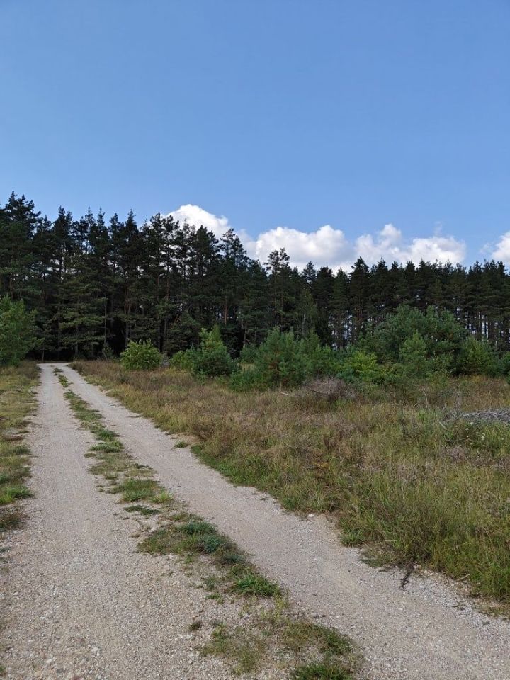 Działka budowlana Dalny Las. Zdjęcie 6