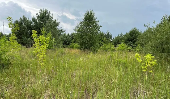 Działka budowlana Kobylanka