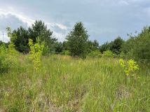 Działka budowlana Kobylanka