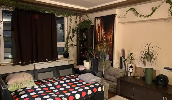 Mieszkanie 1-pokojowe Tychy Centrum, ul. Czysta