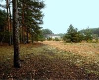 Działka budowlana Wrąbczynek. Zdjęcie 2