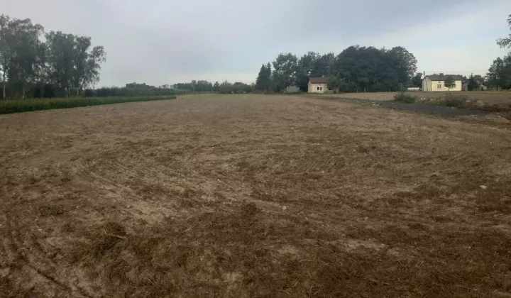 Działka rolna Biała Wieś