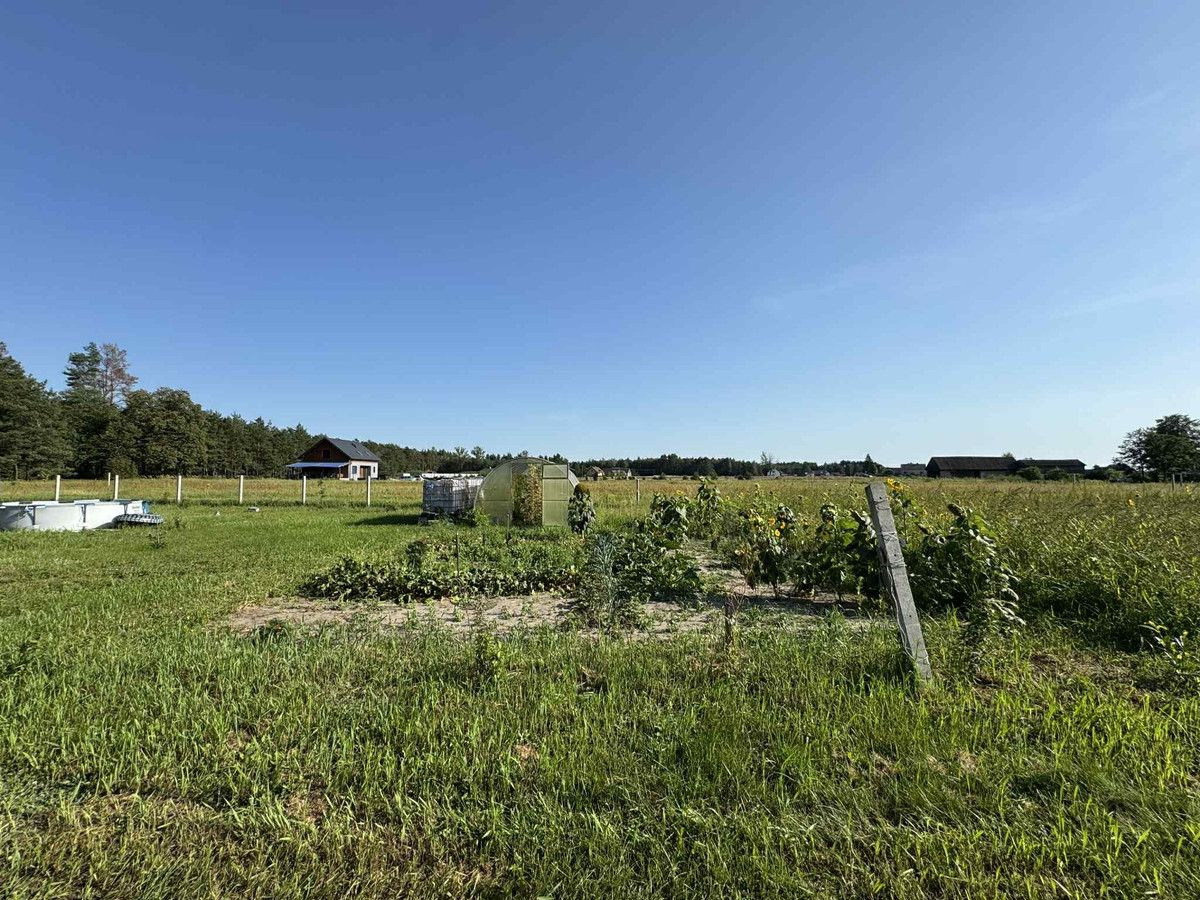 Działka rekreacyjna Golanka. Zdjęcie 13