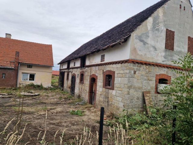 gospodarstwo Dębniki. Zdjęcie 1