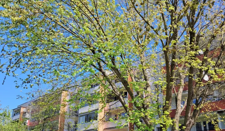 Mieszkanie 3-pokojowe Kraków Bieńczyce, ul. Fatimska