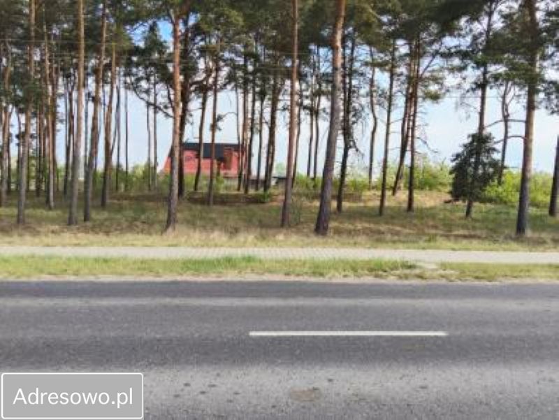 Działka budowlana Nowa Wieś, ul. Przemęcka. Zdjęcie 7