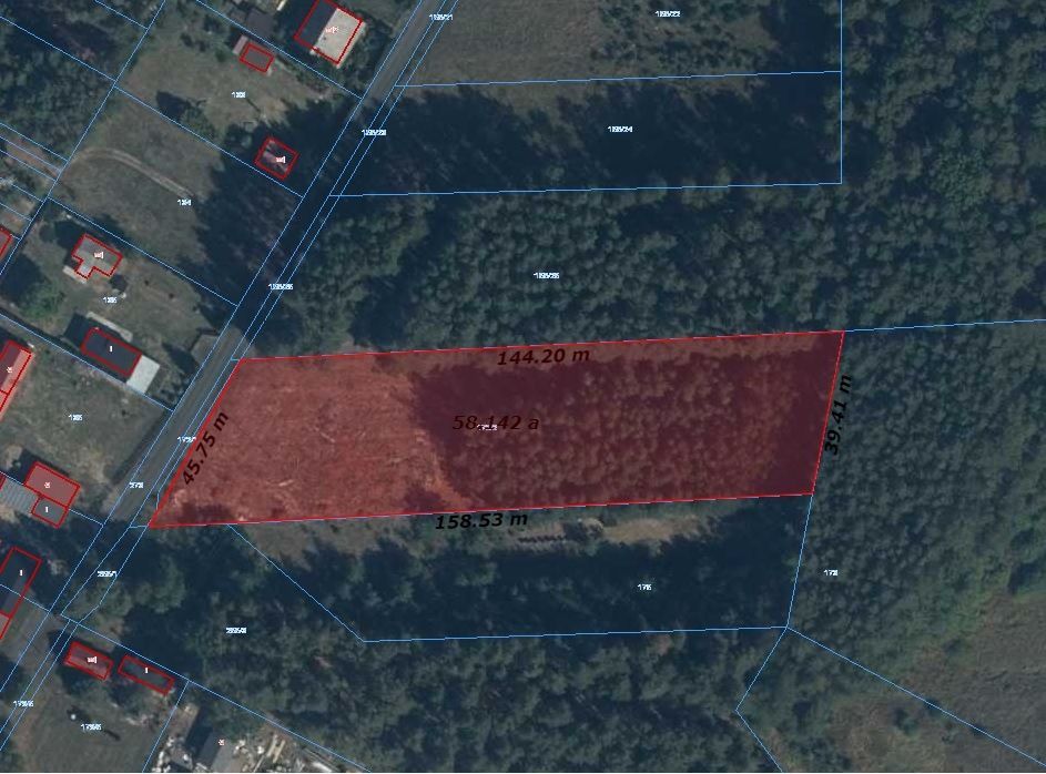 Działka rolna Świerczyna. Zdjęcie 2