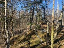 Działka budowlana Trzcińsko. Zdjęcie 3