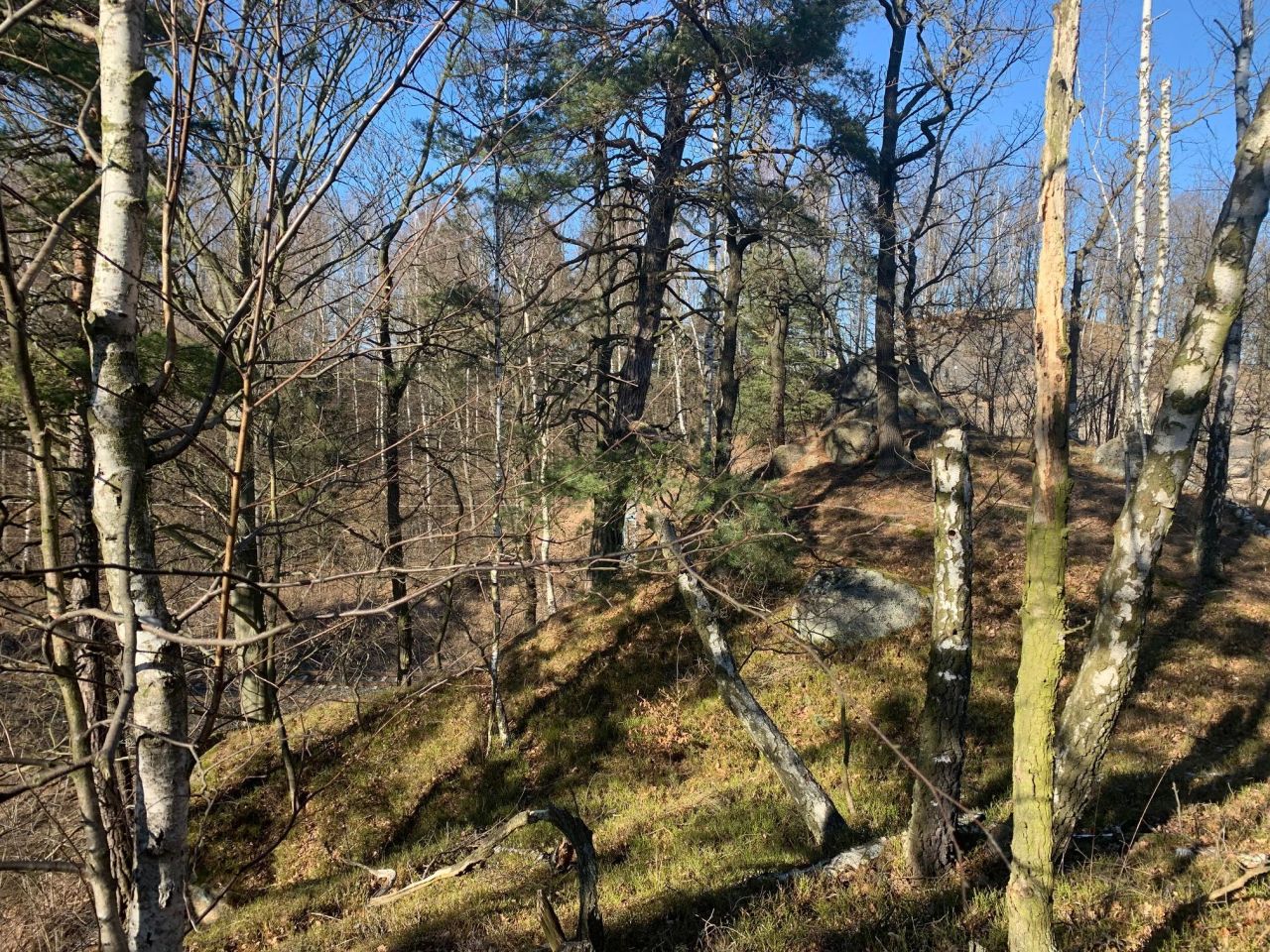 Działka budowlana Trzcińsko. Zdjęcie 4