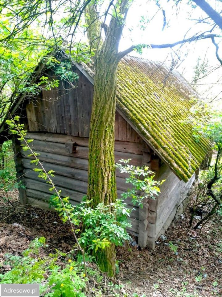 Lokal Górki. Zdjęcie 19