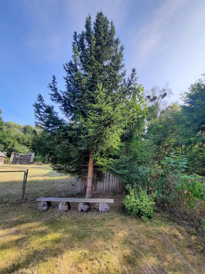 dom wolnostojący, 3 pokoje Doratynka Skaryszewo. Zdjęcie 15