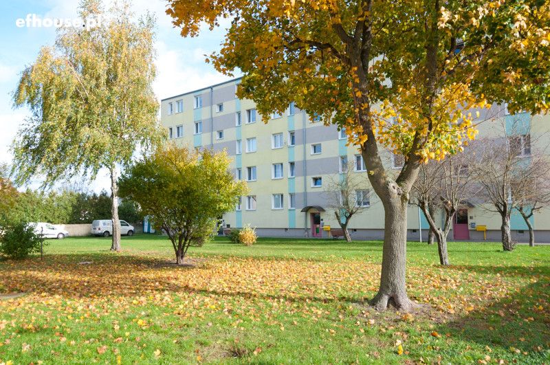 Mieszkanie 3-pokojowe Barcin, ul. Wojska Polskiego. Zdjęcie 17