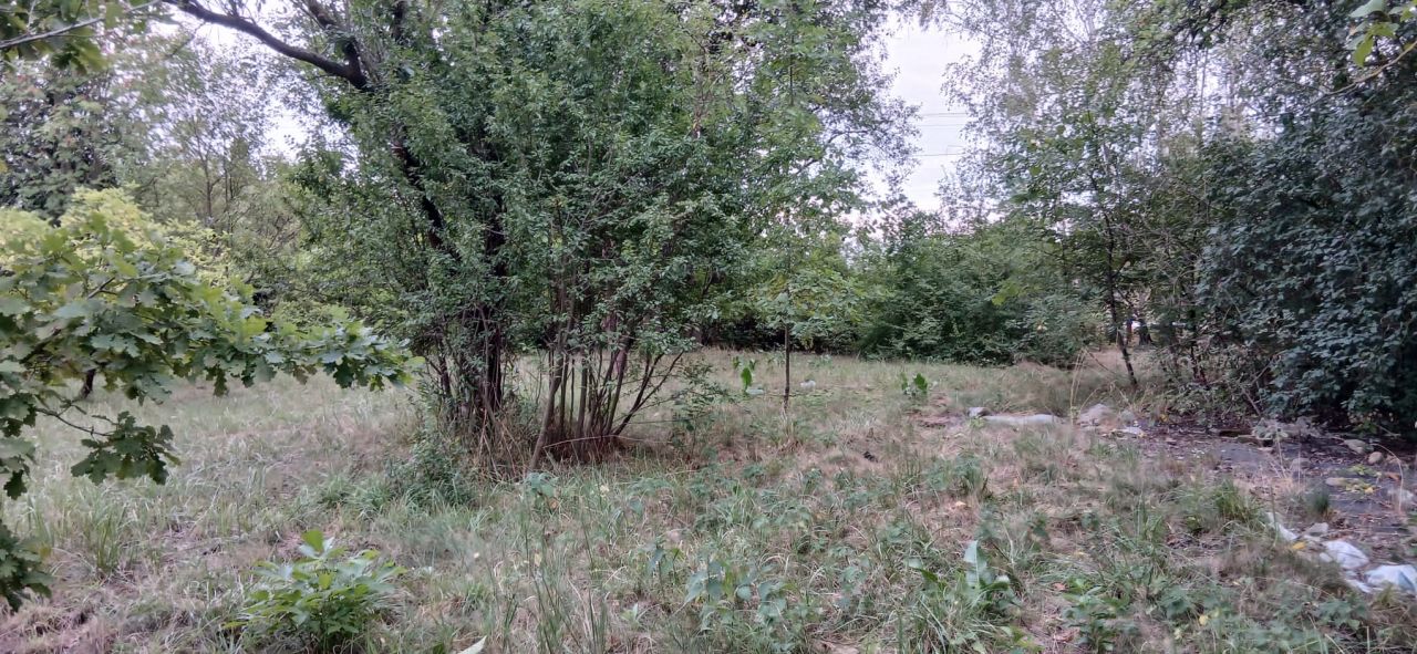 Działka budowlana Pryszczowa Góra. Zdjęcie 2