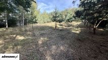 Działka budowlana Sołtyków, ul. Piaskowa. Zdjęcie 4