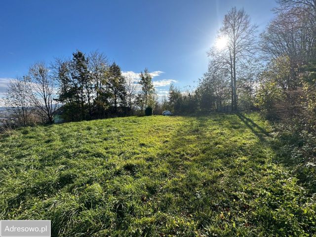 Działka budowlana Chochorowice. Zdjęcie 1