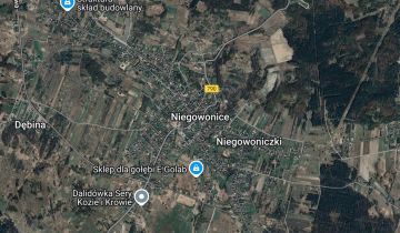 Działka rolno-budowlana Niegowonice