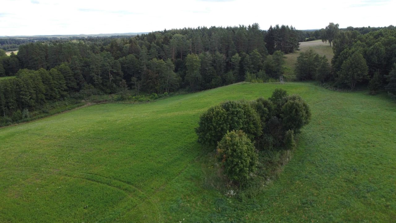 Działka budowlana Dobra Wola. Zdjęcie 6